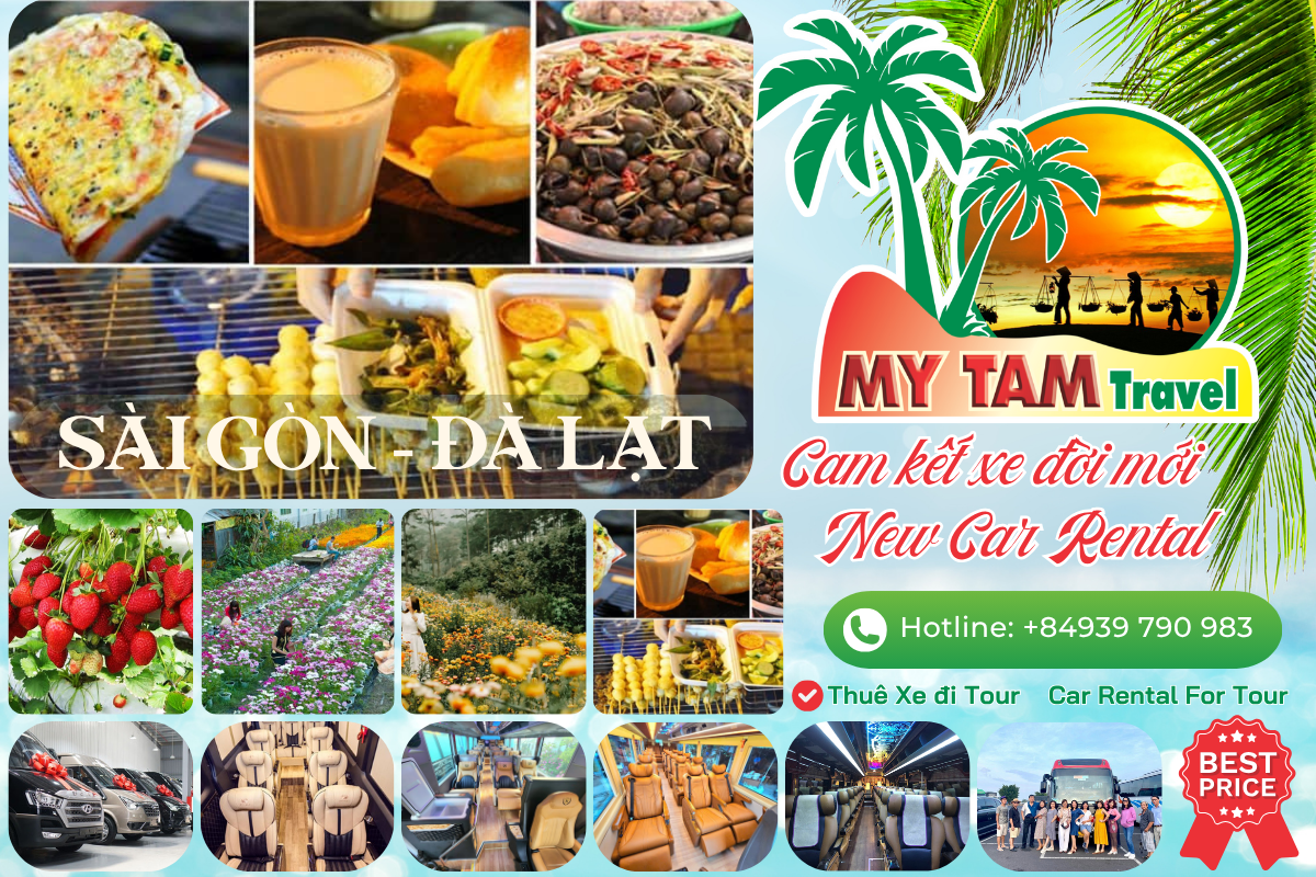 4-SEAT CAR RENTAL TO DA LAT WITH DRIVER | SAFE AND CONVENIENT SERVICE | MY TAM TRAVEL