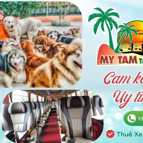  TOUR SÀI GÒN ĐÀ LẠT 3 NGÀY 2 ĐÊM | KHÁM PHÁ THIÊN NHIÊN & THƯ GIÃN TUYỆT VỜI