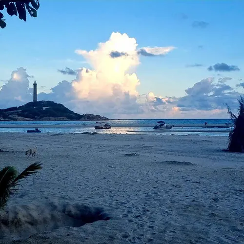 TÀ CÚ - KÊ GÀ TOUR IN 1 DAY | DISCOVER THE BEAUTY OF BÌNH THUẬN