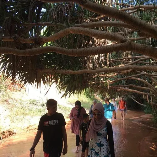 MUI NE JEEP TOUR TO SEE THE SUNRISE | EXPLORE SAND DUNES & FAIRY STREAM