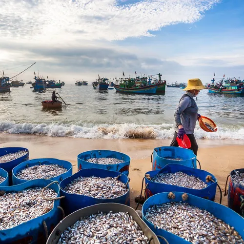 MUI NE JEEP TOUR | EXPLORE WHITE SAND DUNES, FAIRY STREAM & FISHING VILLAGE