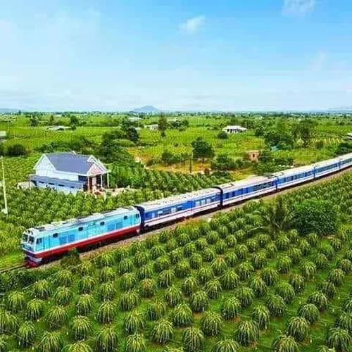 DRAGON FRUIT GARDEN TOUR | DISCOVER PHAN THIET IN ONE DAY