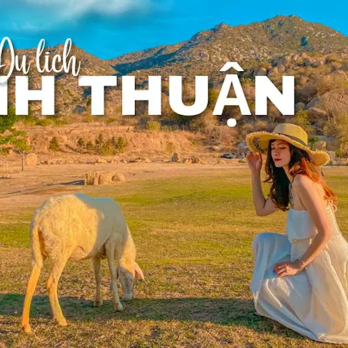 TOUR VĨNH HY TỪ MŨI NÉ 1 NGÀY | TRẢI NGHIỆM BIỂN XANH | CHECK-IN CỰC CHẤT