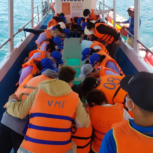 TOUR VĨNH HY TỪ MŨI NÉ 1 NGÀY | TRẢI NGHIỆM BIỂN XANH | CHECK-IN CỰC CHẤT