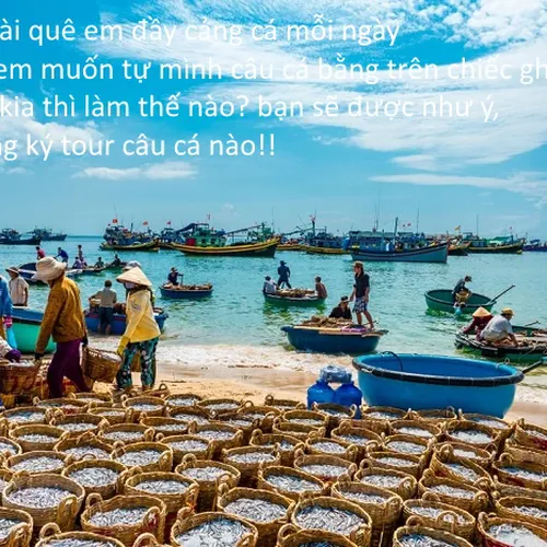 Tour Câu Cá Ngắm Hoàng Hôn