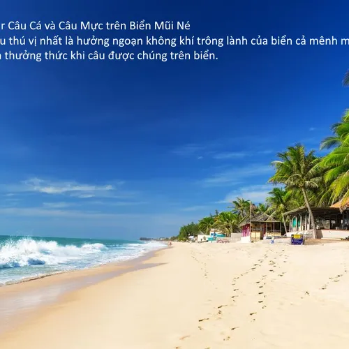 Tour Câu Cá Ngắm Hoàng Hôn