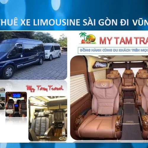 Car Transfer Sai Gon To Vung Tau