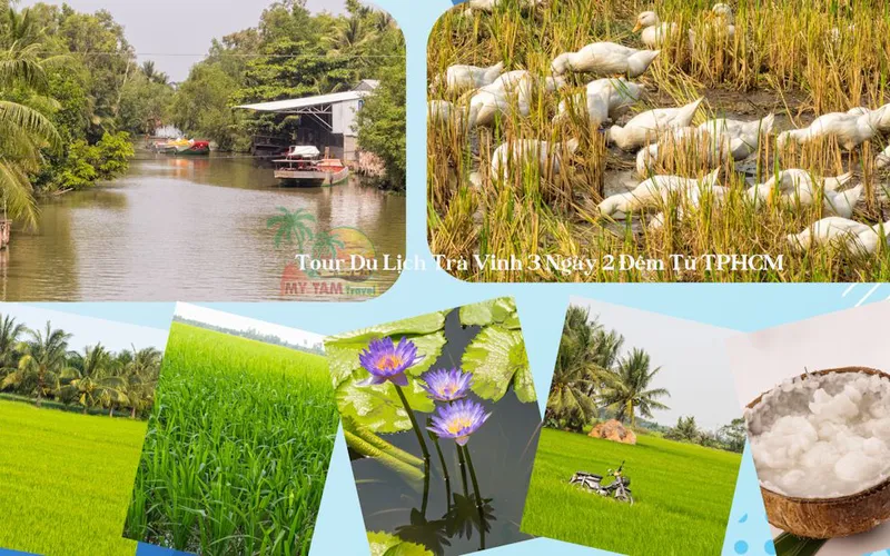 Thuê xe đi Trà Vinh 4-7-16-29-35-45c Limousine 9-11-15-18-28c