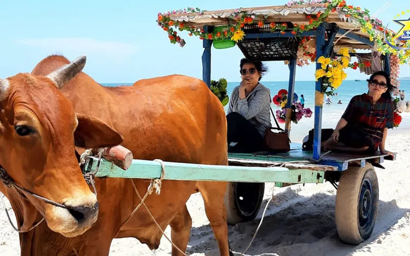 Cam Binh Lagi: Discover the pristine sea paradise in Binh Thuan