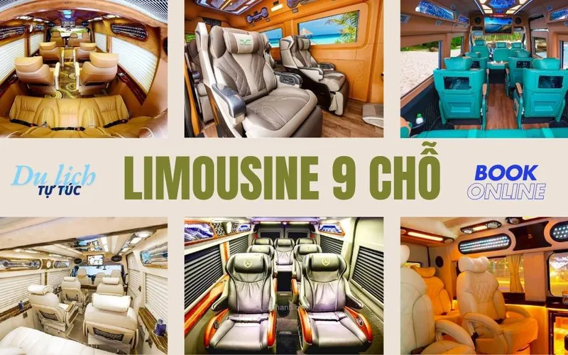 Price of 9-seat Limousine from Mui Ne to Saigon (Ford Dcar / Hyundai Solati)
