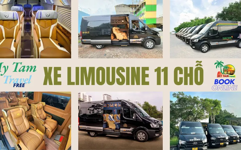 Thuê Xe Du Lịch Uy Tín | Dịch Vụ Chuyên Nghiệp Giá Tốt | My Tam Travel