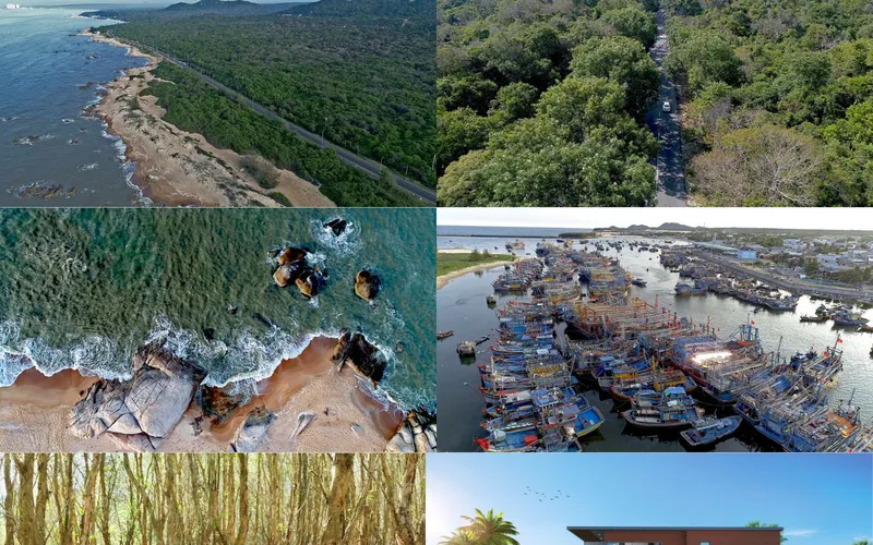 7 Điểm Tham Quan Nên Đến Ở Hồ Tràm