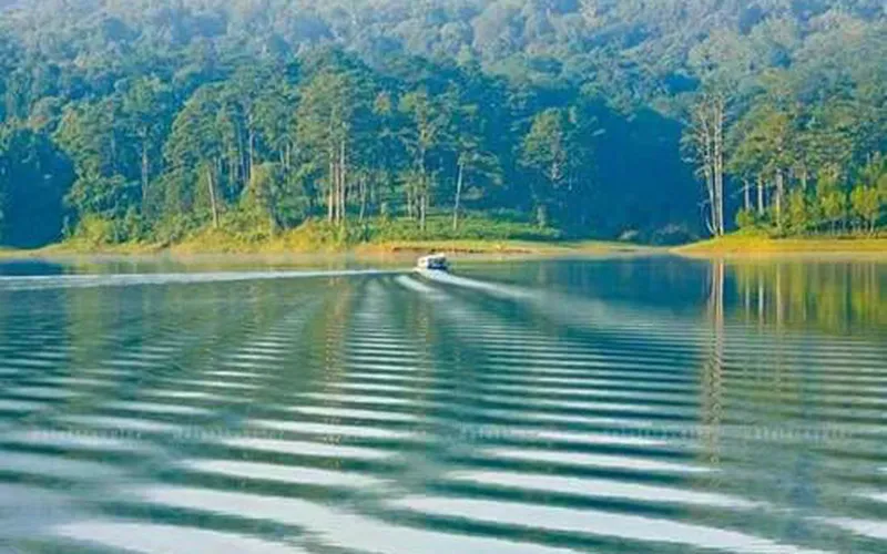 Da Lat Day Trip From Mui Ne By Limousine
