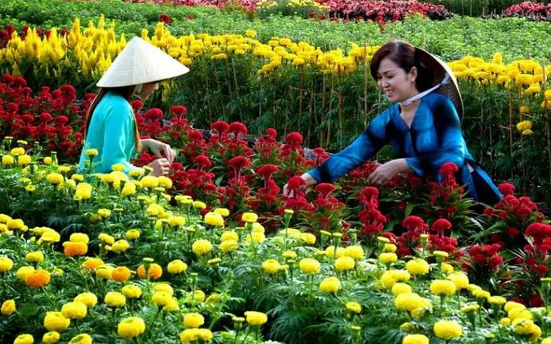 Travel in Ben Tre Viet Nam
