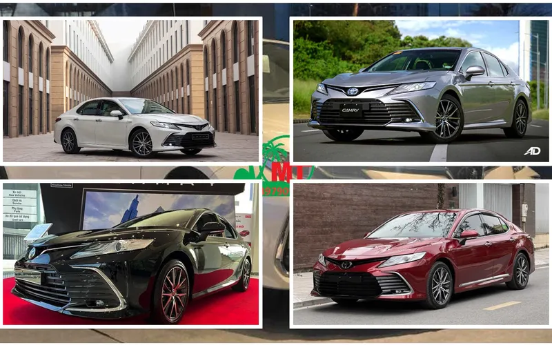 Car Rental 4 Seater Toyota Camry