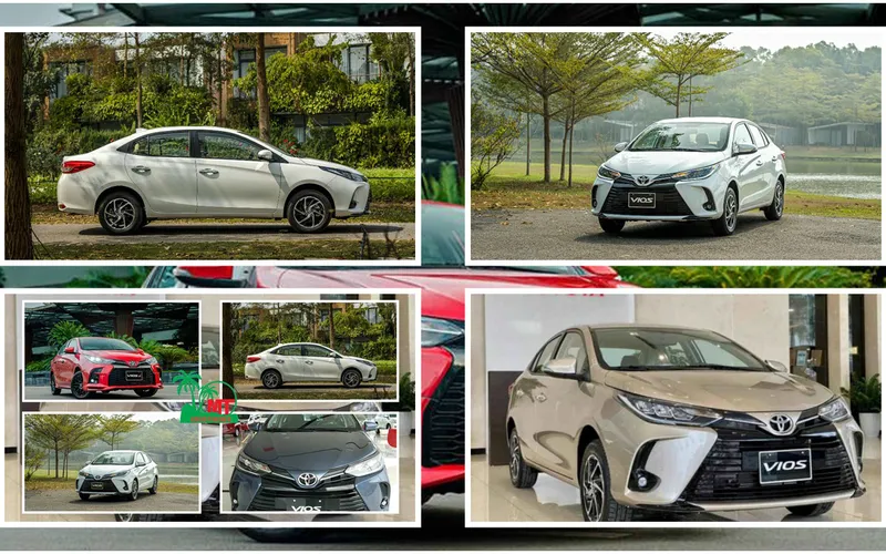 Car Rental 4 Seater Toyota Vios
