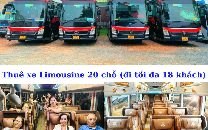 Rent a 20-seat Limousine (maximum 18 passengers)
