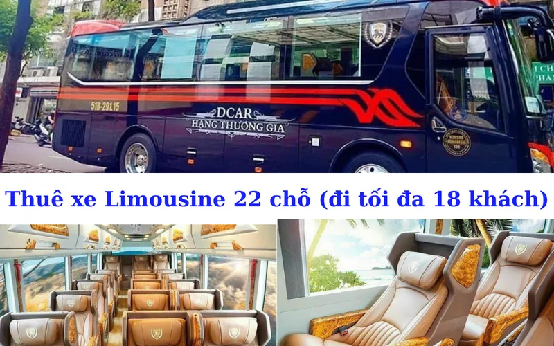 Rent a 22-seat Limousine (maximum 18 passengers)