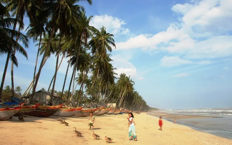Car Rental to Ham Tien Coconut Range