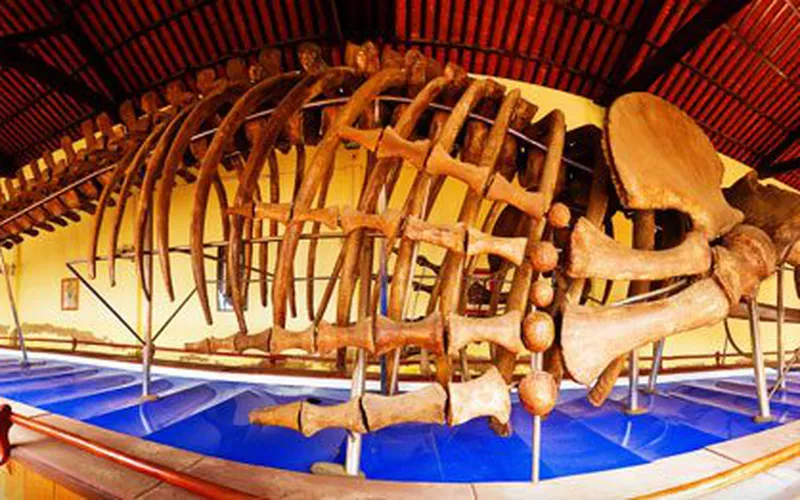 Muine Car Rental to Van Thuy Tu