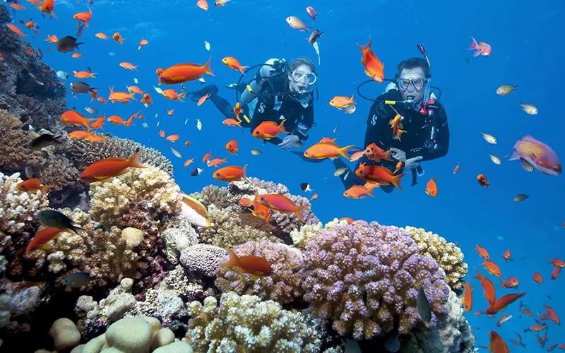 Tour 3 đảo Hòn Miễu – Hòn Mun – Hòn Một - Tour Nha Trang Hàng Ngày