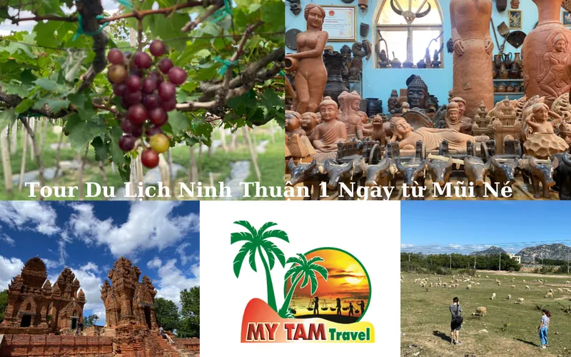 Bau Truc Pottery Village and Po Klong Garai Cham Towers Tour 1 Day