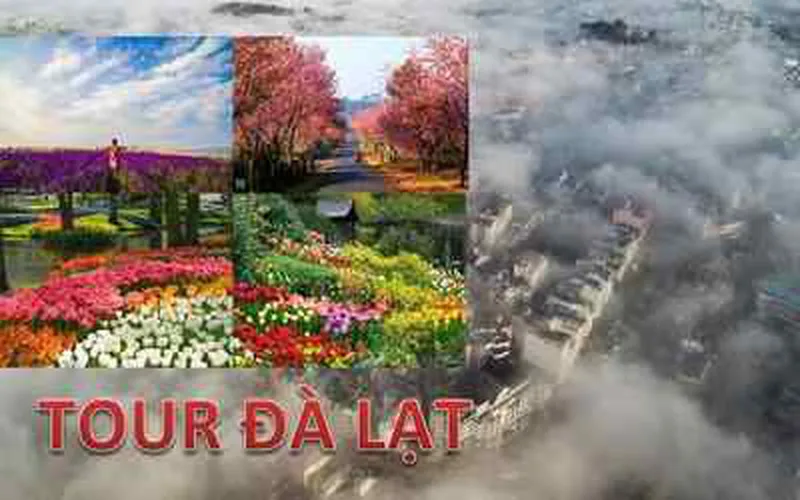 Dalat Day Trip From Mui Ne
