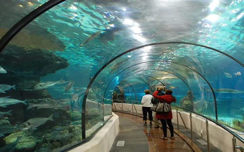 Tour Tham Quan 4 Đảo Nha Trang