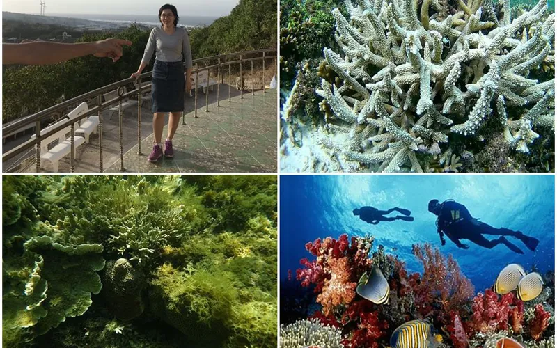 Tour Tham Quan Đảo Phú Quý Bình Thuận Từ TP Hồ Chí Minh