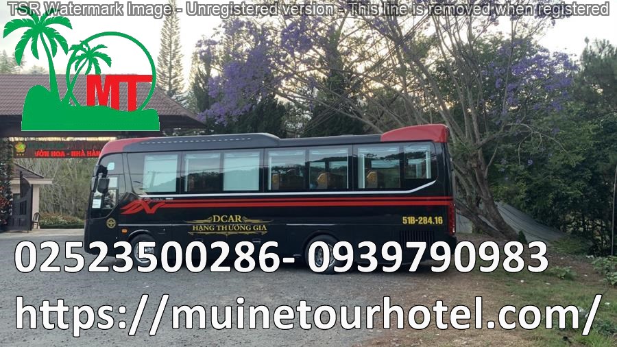 thue-xe-limousine-18-cho-gia-re-muinetourhotel.com_12.jpg (175 KB)