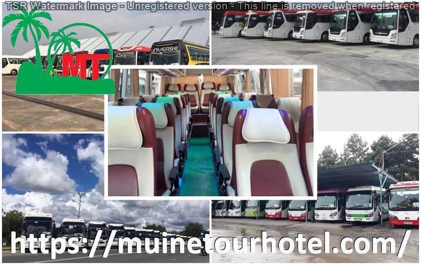thue-xe-29-cho-gia-re-muinetourhotel.com_21.jpg (155 KB)