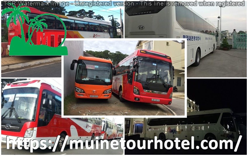 thue-xe-29-cho-gia-re-muinetourhotel.com_30.jpg (154 KB)