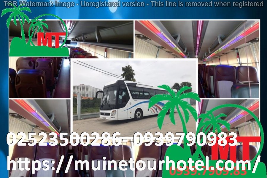 thue-xe-45-cho-gia-re-muinetourhotel.com_121.jpg (163 KB)