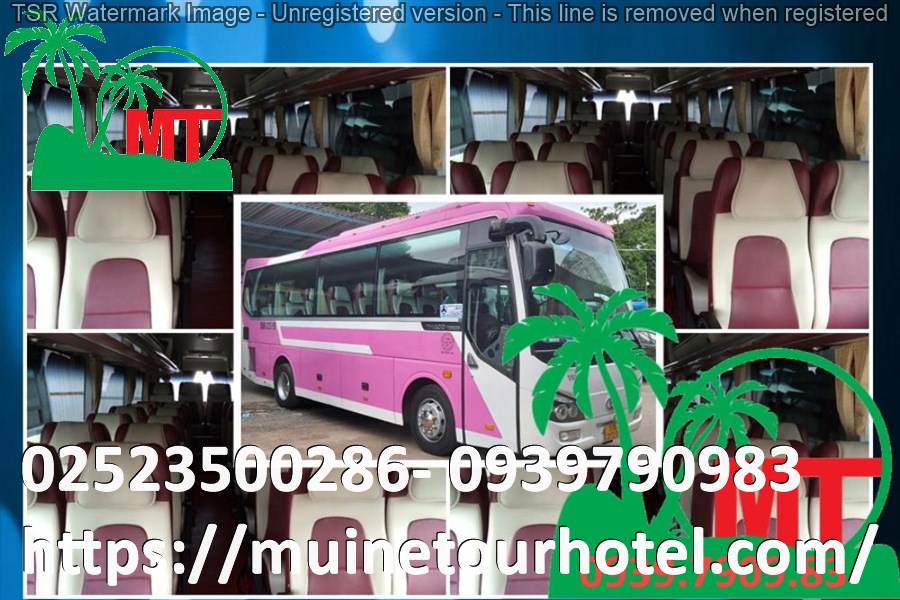 thue-xe-45-cho-gia-re-muinetourhotel.com_125.jpg (173 KB)