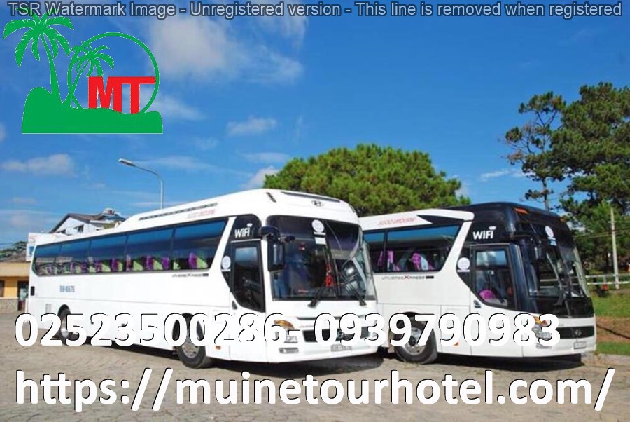 thue-xe-45-cho-gia-re-muinetourhotel.com_13.jpg (145 KB)