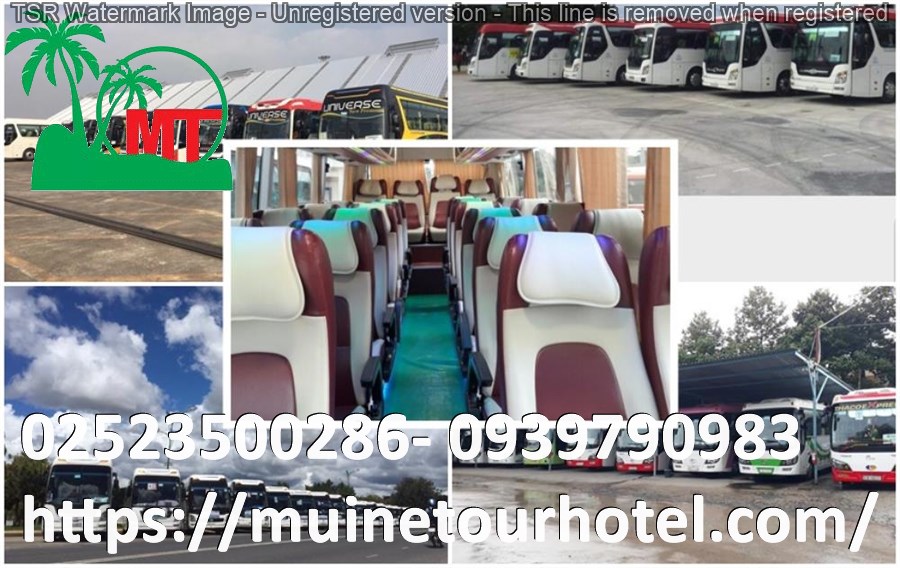 thue-xe-45-cho-gia-re-muinetourhotel.com_24.jpg (160 KB)