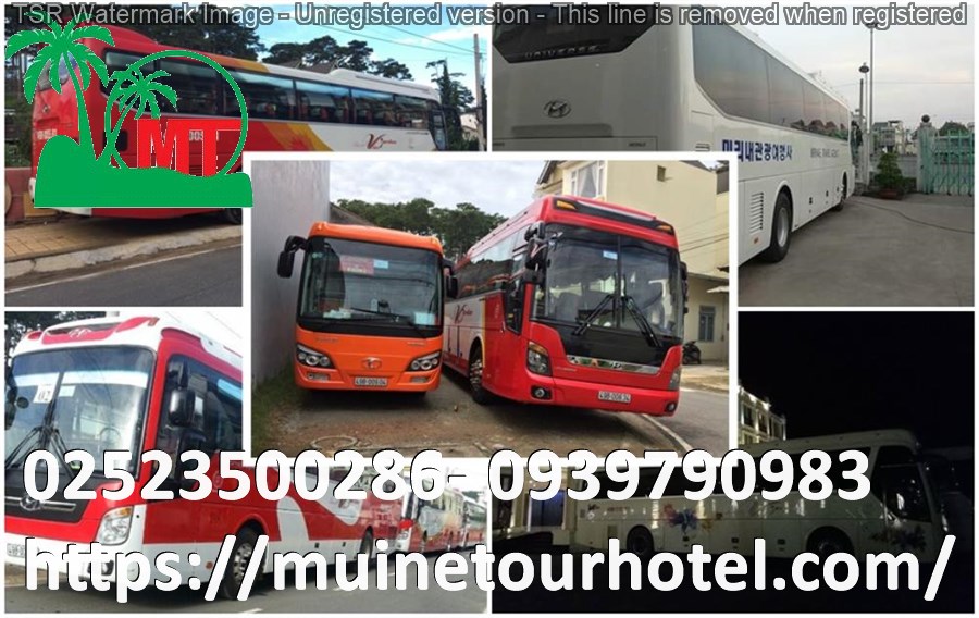 thue-xe-45-cho-gia-re-muinetourhotel.com_33.jpg (161 KB)