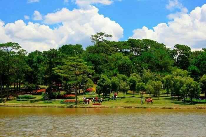 xe-di-da-lat_6.jpg (52 KB)