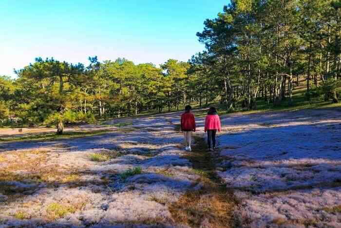 xe-di-da-lat_64.jpg (60 KB)