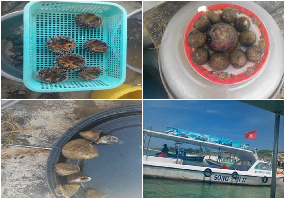 chua-co-thach_17.jpg (120 KB)