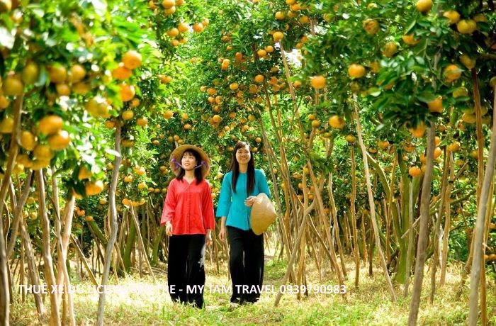 vuon-trai-cay-cai-mon-ben-tre.jpg (124 KB)