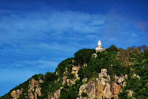 ngon-hai-dang_4.jpg (67 KB)