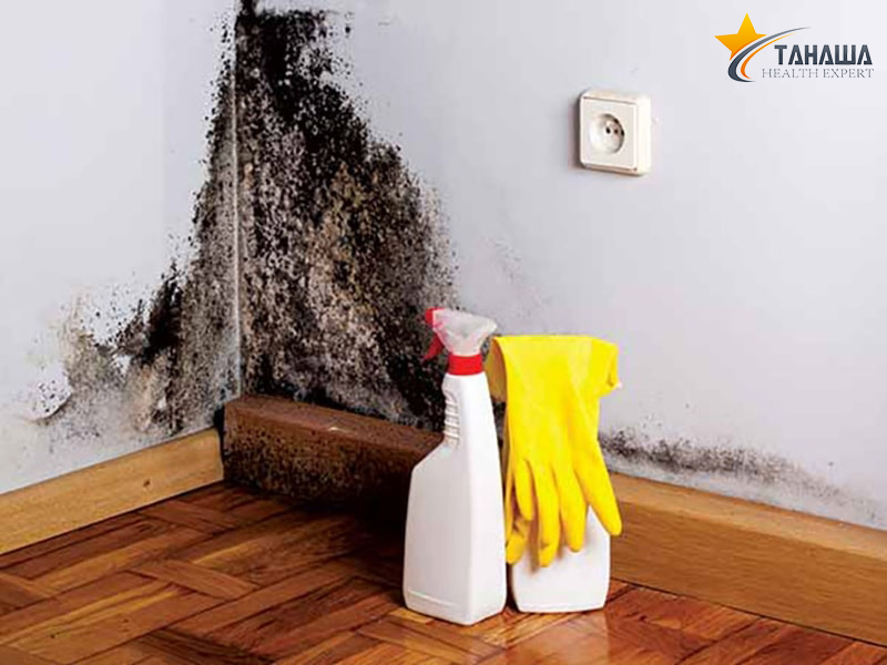 Loại bỏ nấm mốc Loại bỏ nấm mốc
