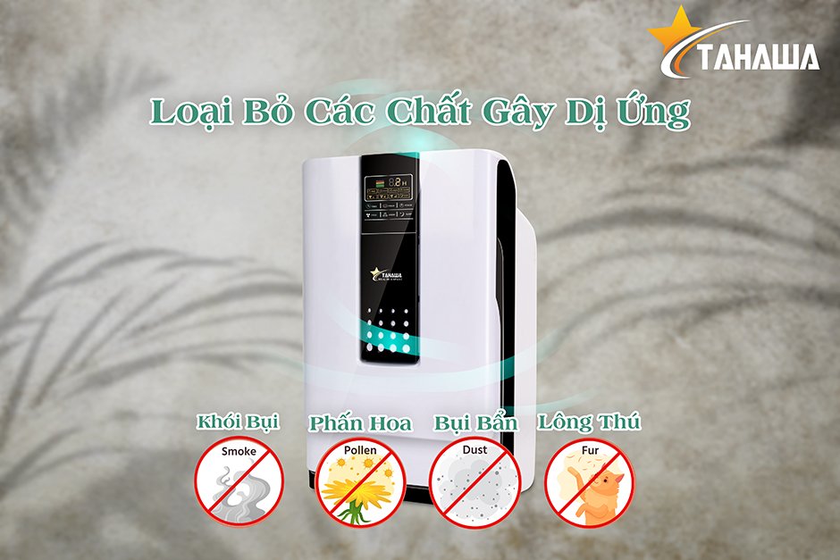 máy lọc không khí loại bỏ các chất gây dị ứng máy lọc không khí loại bỏ các chất gây dị ứng