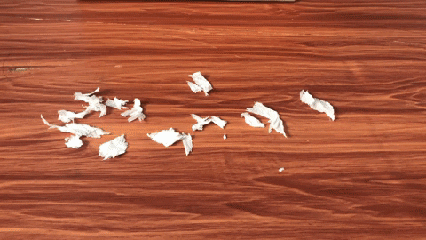 Robot hút bụi lau nhà Tahawa Nhật Bản TH-06Plus Robot hút bụi lau nhà Tahawa Nhật Bản TH-06Plus