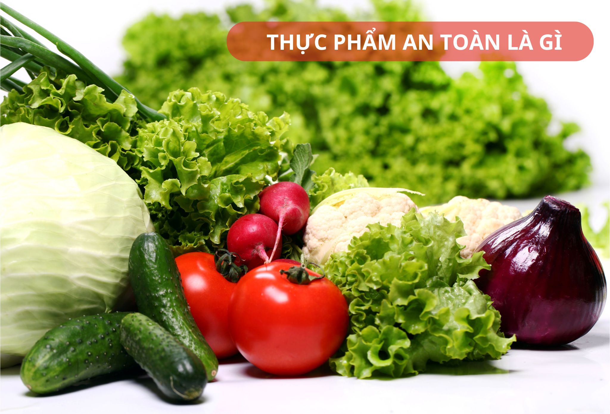 Thực phẩm an toàn là gì? Thực phẩm an toàn là gì?