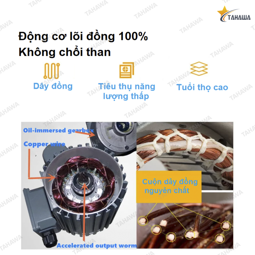 Máy ép dầu thực vật Tahawa TH-S9S Máy ép dầu thực vật Tahawa TH-S9S