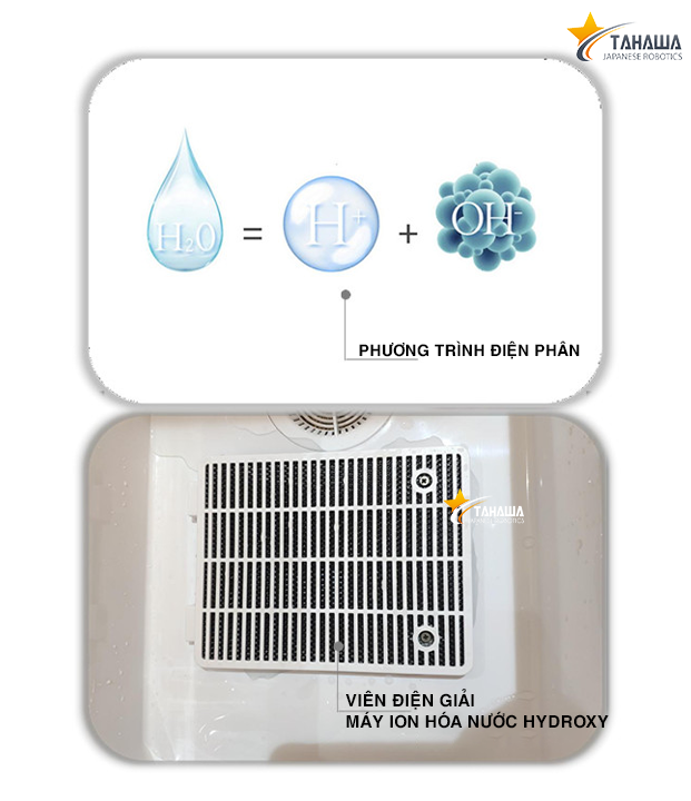 máy rửa rau củ quả máy rửa rau củ quả