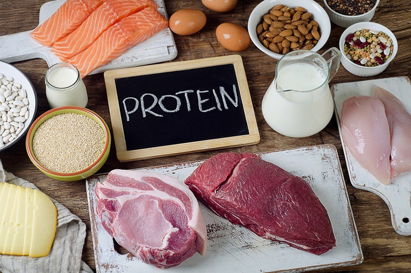 các loại thực phẩm giàu protein các loại thực phẩm giàu protein