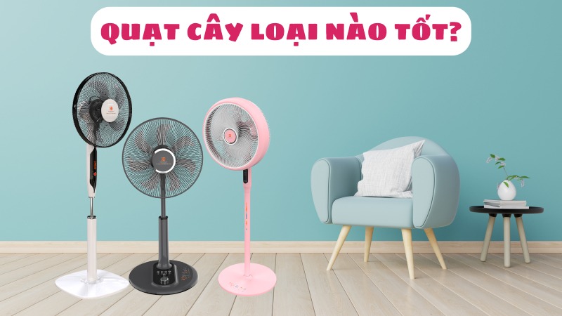 Nên Mua Quạt Cây Hãng Nào Tốt? Top Quạt Đứng Tốt Nhất Hiện Nay Nên Mua Quạt Cây Hãng Nào Tốt? Top Quạt Đứng Tốt Nhất Hiện Nay